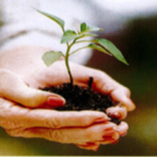 20160107 Compost Class.png